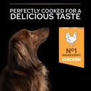 Pro Plan Small Mini Adult Everyday Nutrition Dry Dog Food with Chicken 3 Kg