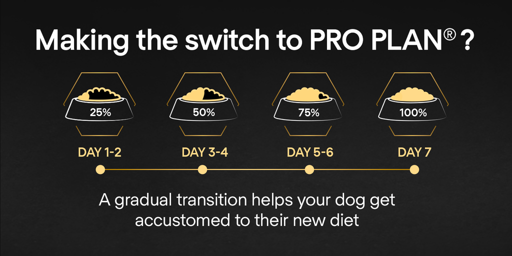 Pro Plan Small Mini Puppy Healthy Start Dry Dog Food with Chicken 3Kg