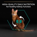 Pro Plan Adult Renal Plus Everyday Dry Cat Food with Chicken 1.5Kg