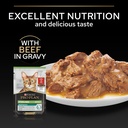 Pro Plan Sterilized Adult Renal Plus Wet Cat Food Pouch Beef in Gravy MultiPack 10x85g