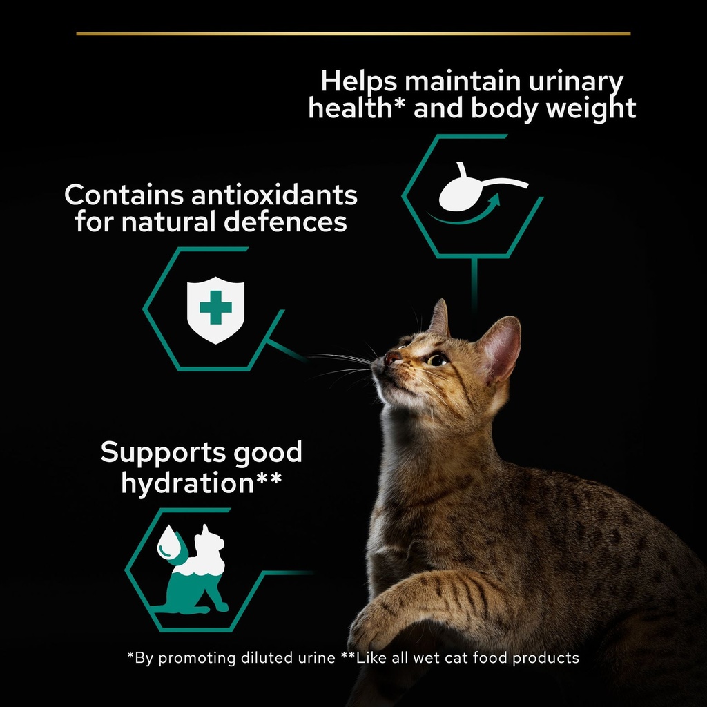 Pro Plan Sterilized Adult Renal Plus Wet Cat Food Pouch Chicken in Gravy MultiPack 10x85g