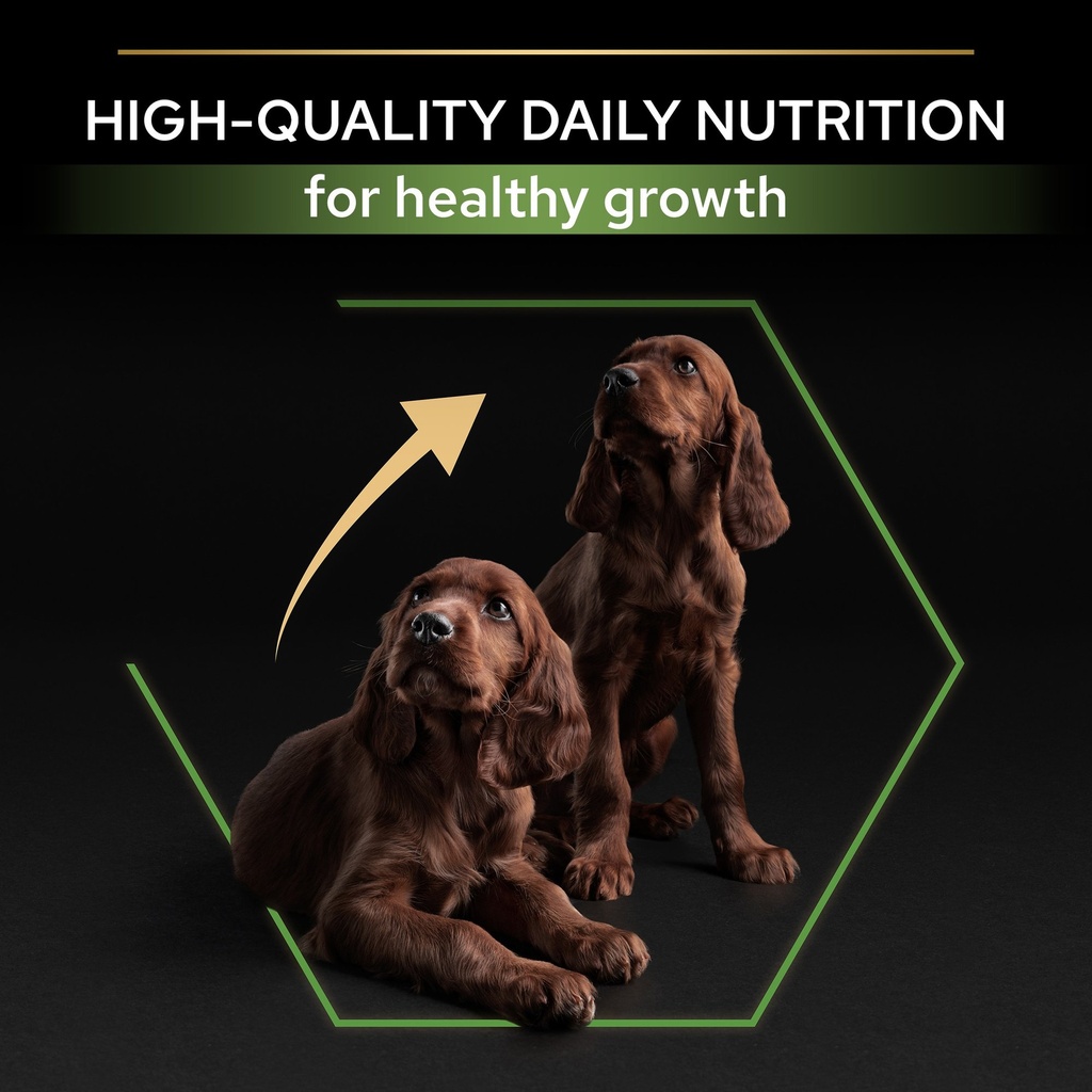 Pro Plan Large Athletic Puppy Healthy Start Dry Dog Food with Chicken 12Kg