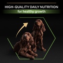 Pro Plan Large Athletic Puppy Healthy Start Dry Dog Food with Chicken 12Kg