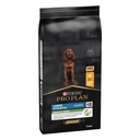 Pro Plan Large Athletic Puppy Healthy Start Dry Dog Food with Chicken 12Kg