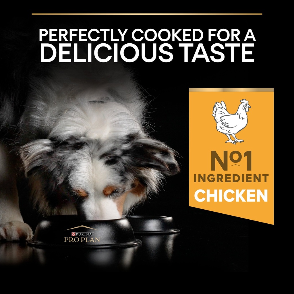 Pro Plan Medium Adult Everyday Nutrition Dry Dog Food with Chicken 14Kg