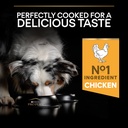 Pro Plan Medium Adult Everyday Nutrition Dry Dog Food with Chicken 14Kg