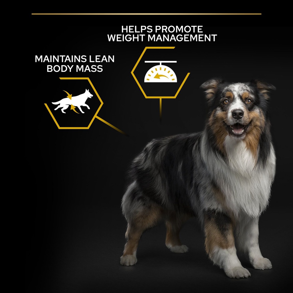 Pro Plan All Size Adult Light Sterilized Dry Dog Food with Chicken 14Kg