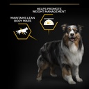 Pro Plan All Size Adult Light Sterilized Dry Dog Food with Chicken 14Kg