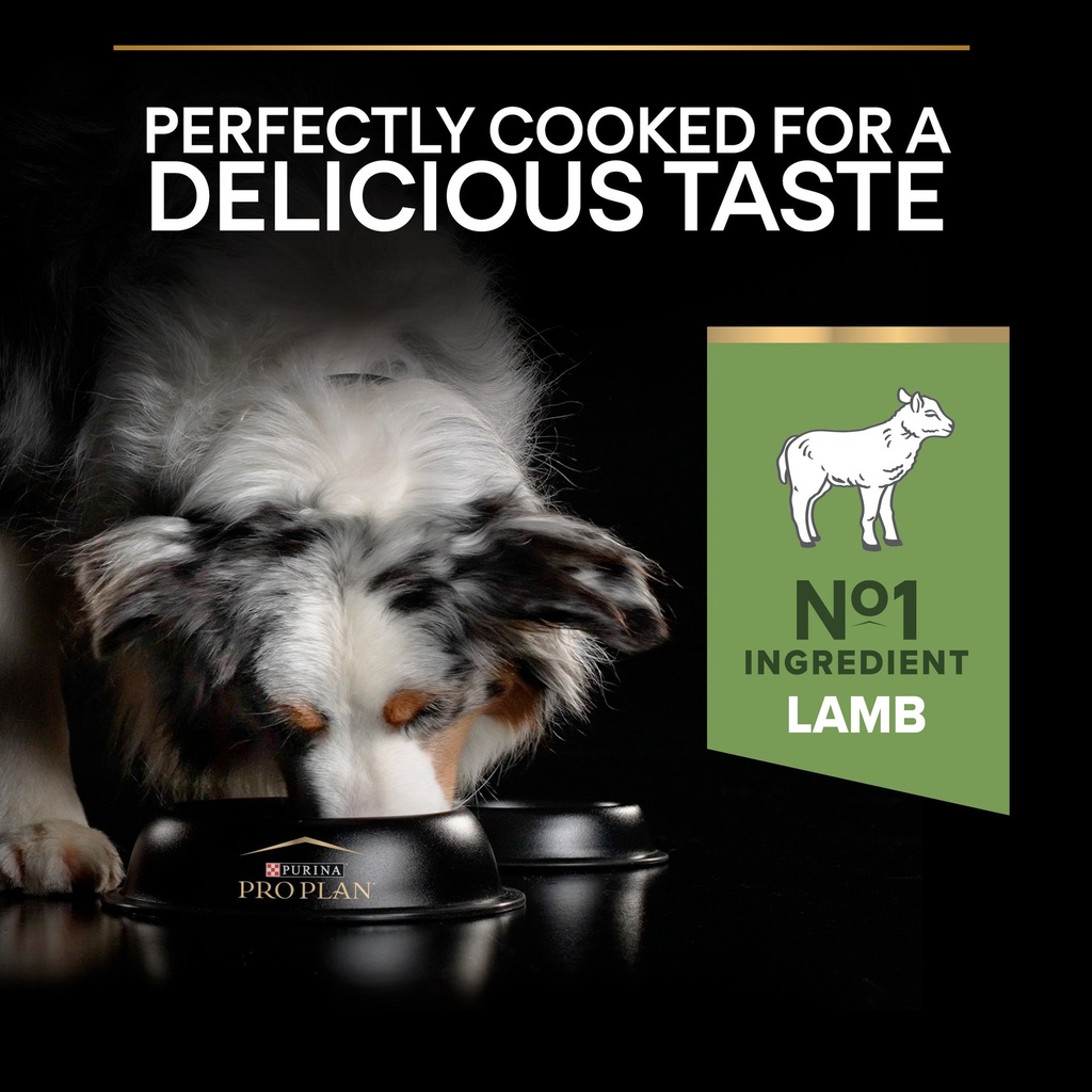 Pro Plan Medium Adult Sensitive Digestion Dry Dog Food with Lamb 14Kg