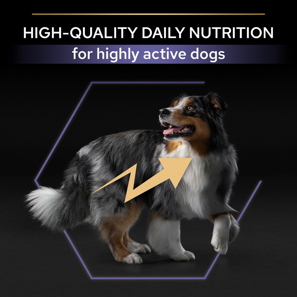Pro Plan All Size Performance Dry Dog Food with Chicken 18Kg