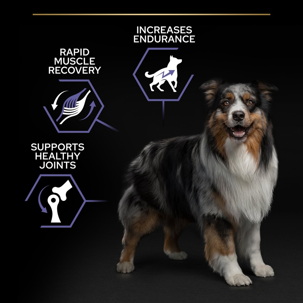 Pro Plan All Size Performance Dry Dog Food with Chicken 18Kg