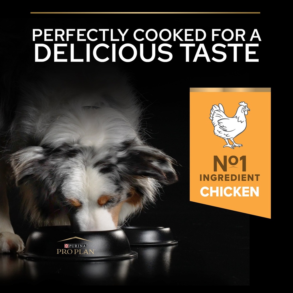 Pro Plan All Size Performance Dry Dog Food with Chicken 18Kg