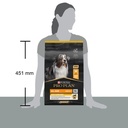 Pro Plan All Size Adult Light Sterilized Dry Dog Food with Chicken 3Kg
