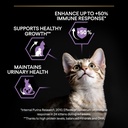 Pro Plan Kitten Healthy Start Dry Cat Food with Chicken 1.5Kg
