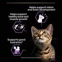 Pro Plan Kitten Healthy Start Wet Cat Food Pouch Turkey in Gravy 85g