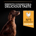 Pro Plan Large Athletic Adult Everyday Nutrition Dry Dog Food with Chicken 14Kg