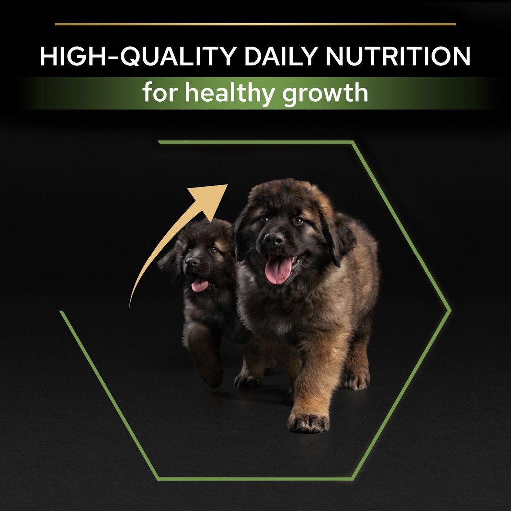 Pro Plan Large Robust Puppy Healthy Start Dry Dog Food with Chicken 3Kg
