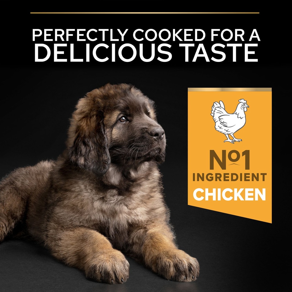 Pro Plan Large Robust Puppy Healthy Start Dry Dog Food with Chicken 3Kg