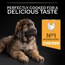 Pro Plan Large Robust Puppy Healthy Start Dry Dog Food with Chicken 3Kg